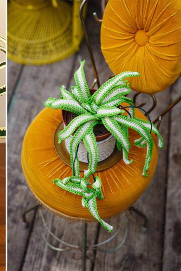 7 Crochet Spider Plant Free Patterns