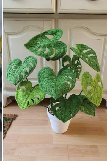 7 Monstera Plants Free Crochet Patterns